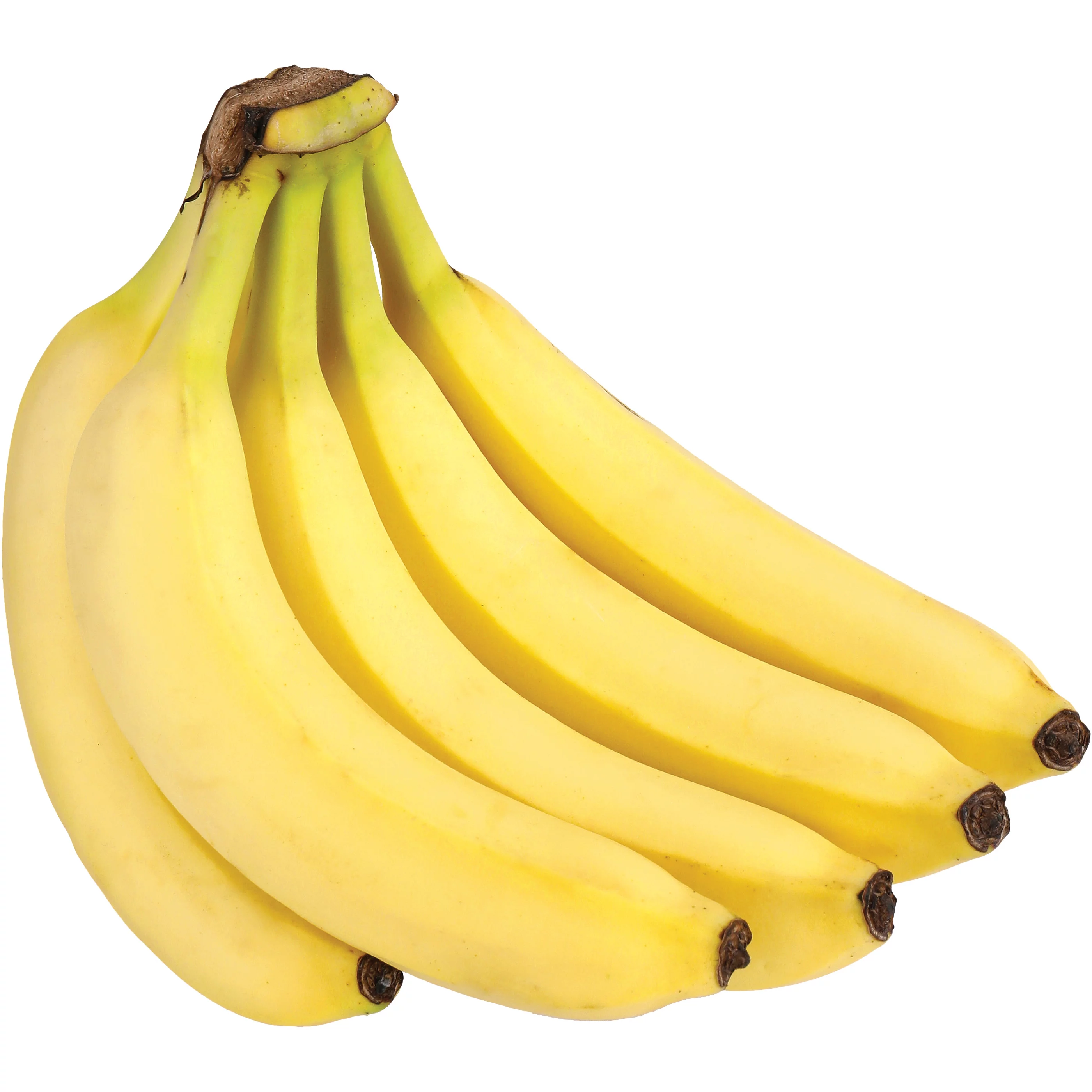 Golden Banana (6 pack)