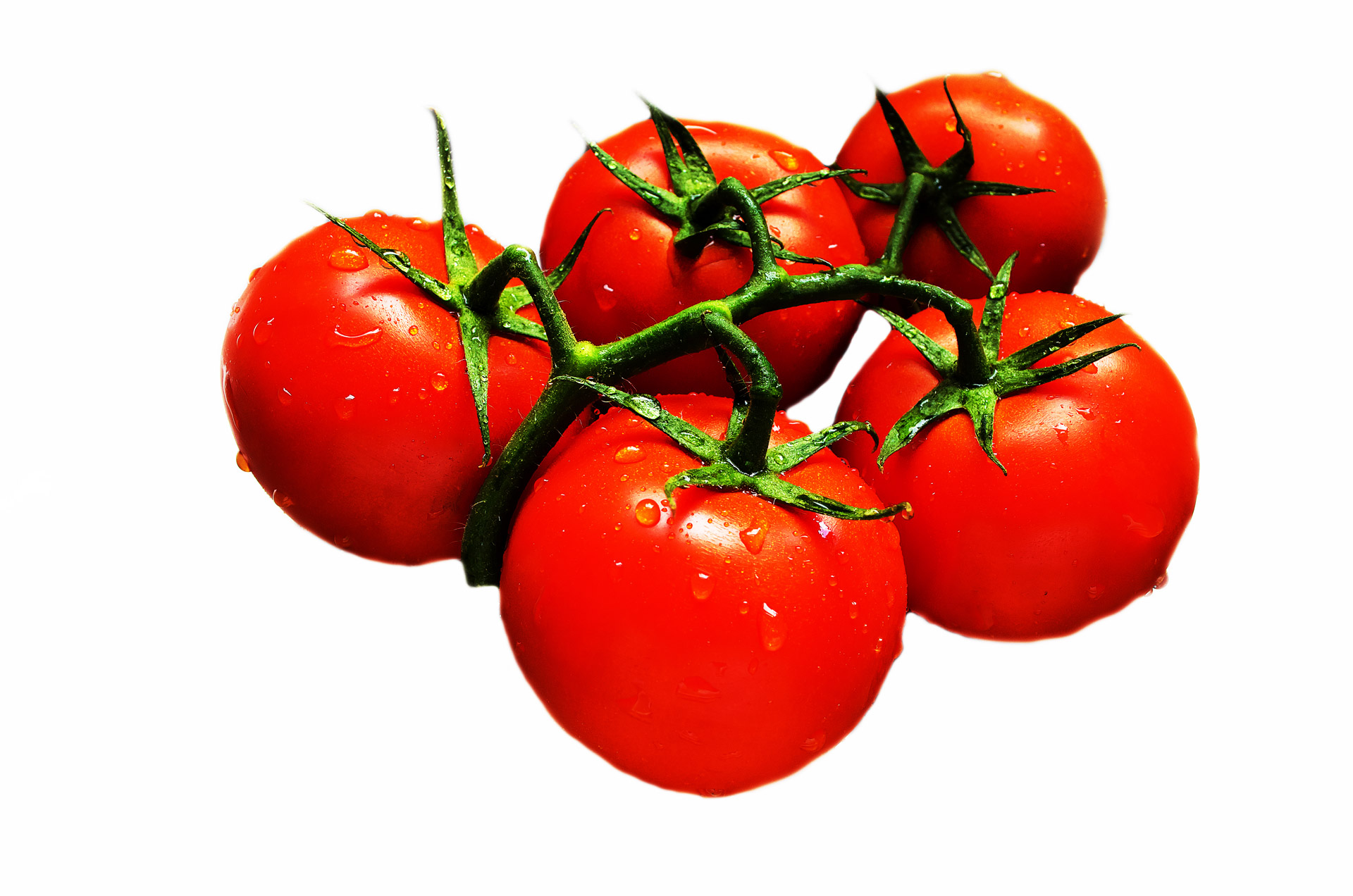 Tomatoes on the vine (pack of 5)